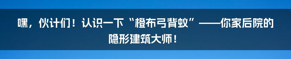 嘿,伙计们!认识一下“橙布弓背蚁”——你家后院的隐形建筑大师!