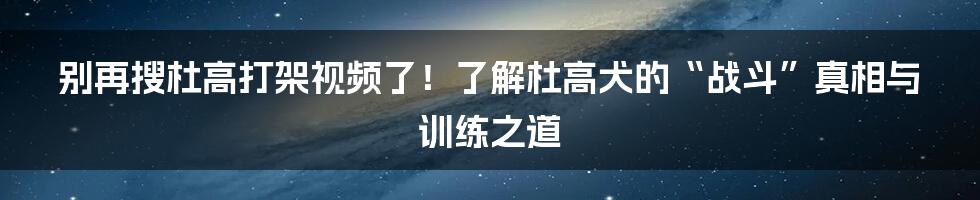 别再搜杜高打架视频了!了解杜高犬的“战斗”真相与训练之道