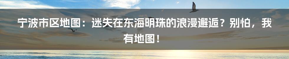 宁波市区地图：迷失在东海明珠的浪漫邂逅？别怕，我有地图！