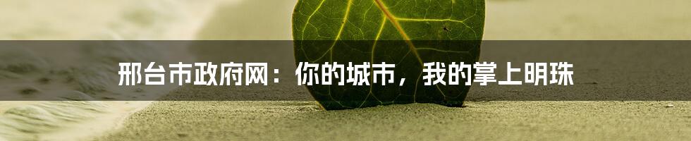 邢台市政府网:你的城市,我的掌上明珠