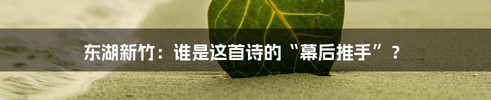 东湖新竹:谁是这首诗的“幕后推手”?