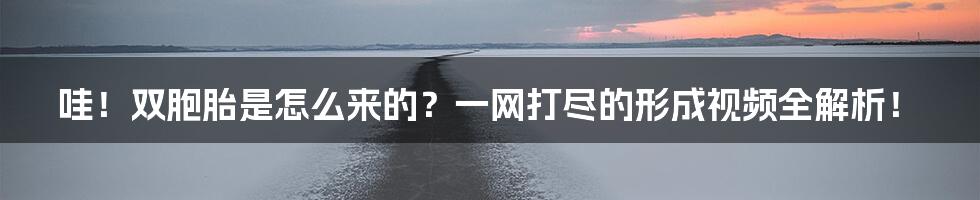 哇！双胞胎是怎么来的？一网打尽的形成视频全解析！