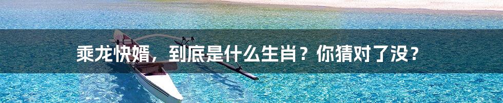 乘龙快婿，到底是什么生肖？你猜对了没？