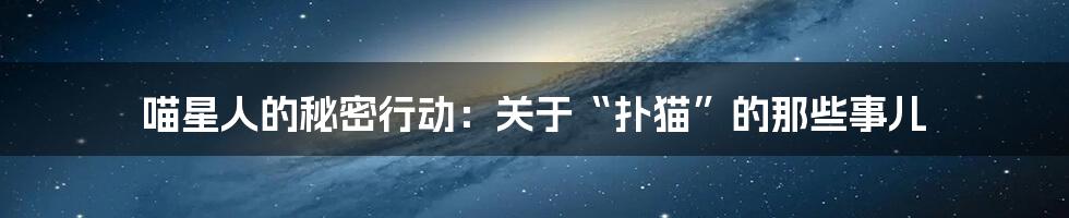 喵星人的秘密行动:关于“扑猫”的那些事儿