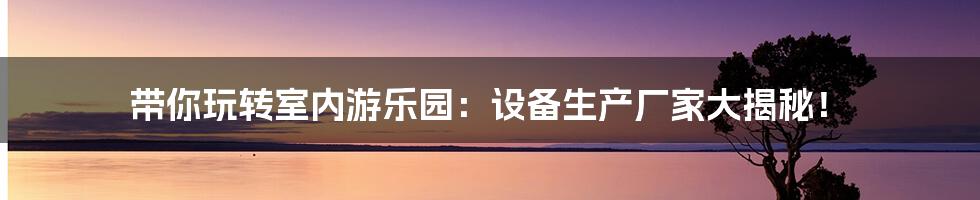 带你玩转室内游乐园：设备生产厂家大揭秘！