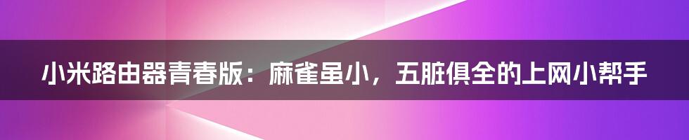 小米路由器青春版:麻雀虽小,五脏俱全的上网小帮手