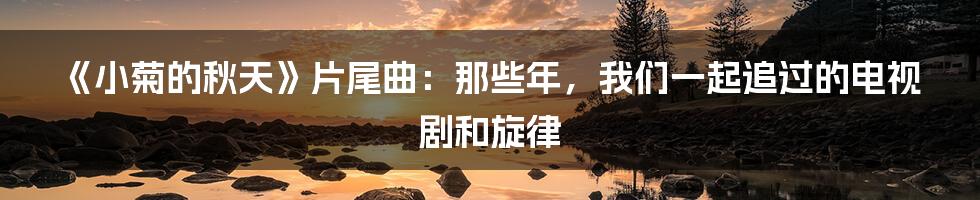 《小菊的秋天》片尾曲:那些年,我们一起追过的电视剧和旋律