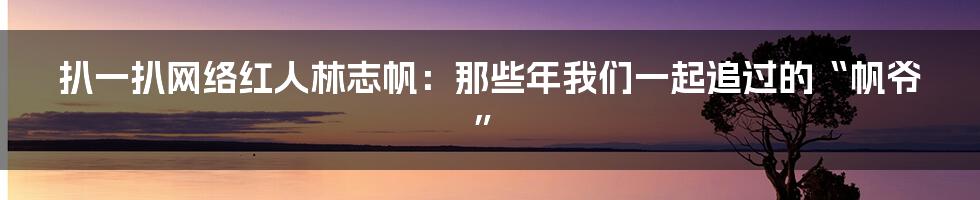 扒一扒网络红人林志帆：那些年我们一起追过的“帆爷”