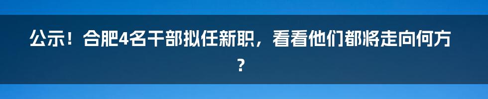 公示！合肥4名干部拟任新职，看看他们都将走向何方？