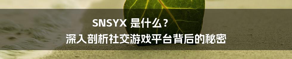 SNSYX 是什么? 深入剖析社交游戏平台背后的秘密