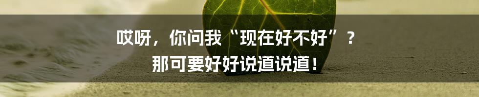 哎呀，你问我“现在好不好”？ 那可要好好说道说道！