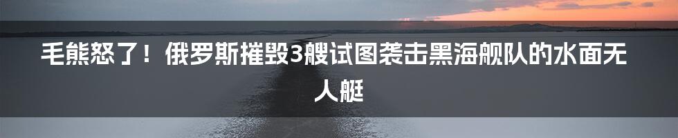 毛熊怒了!俄罗斯摧毁3艘试图袭击黑海舰队的水面无人艇