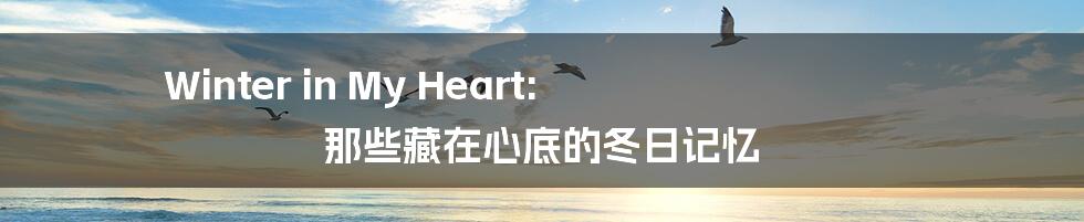 Winter in My Heart: 那些藏在心底的冬日记忆