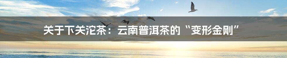 关于下关沱茶:云南普洱茶的“变形金刚”