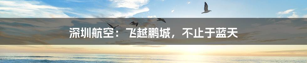 深圳航空:飞越鹏城,不止于蓝天