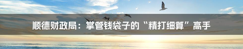 顺德财政局:掌管钱袋子的“精打细算”高手