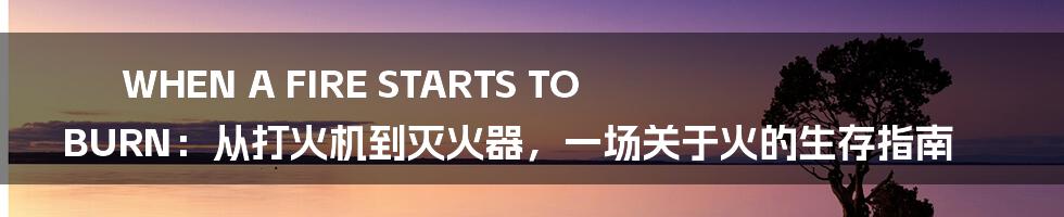 WHEN A FIRE STARTS TO BURN：从打火机到灭火器，一场关于火的生存指南
