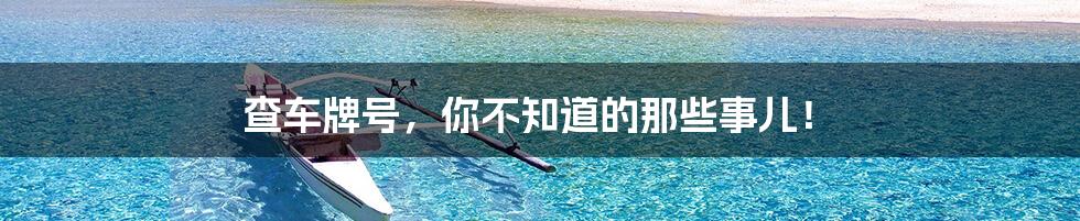 查车牌号,你不知道的那些事儿!