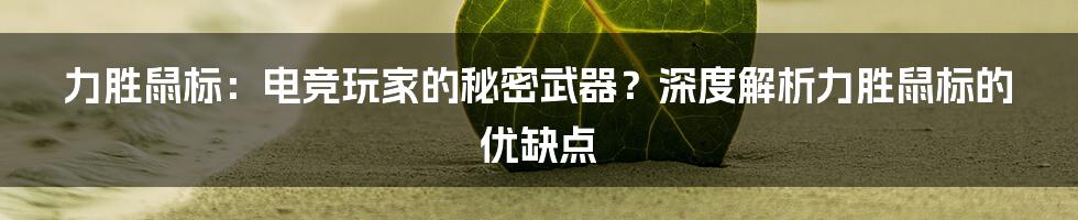 力胜鼠标:电竞玩家的秘密武器?深度解析力胜鼠标的优缺点