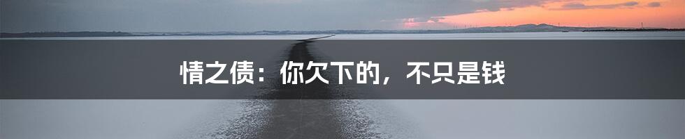 情之债：你欠下的，不只是钱