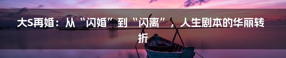 大S再婚:从“闪婚”到“闪离”,人生剧本的华丽转折
