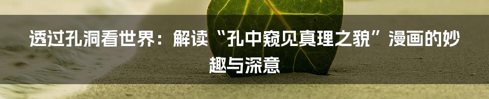 透过孔洞看世界:解读“孔中窥见真理之貌”漫画的妙趣与深意