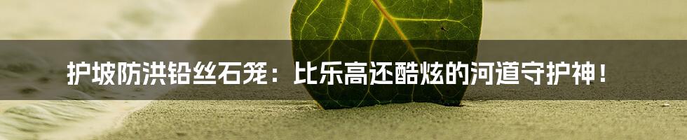 护坡防洪铅丝石笼:比乐高还酷炫的河道守护神!