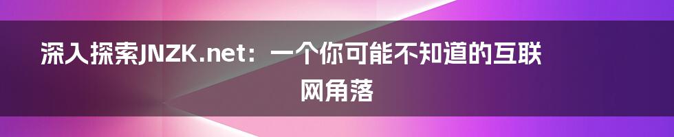 深入探索JNZK.net:一个你可能不知道的互联网角落