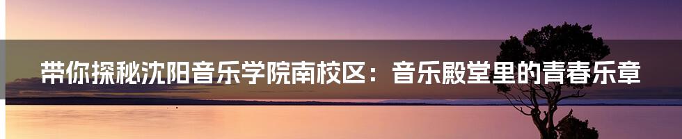 带你探秘沈阳音乐学院南校区：音乐殿堂里的青春乐章