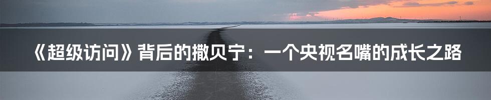《超级访问》背后的撒贝宁:一个央视名嘴的成长之路
