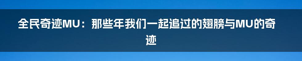 全民奇迹MU:那些年我们一起追过的翅膀与MU的奇迹