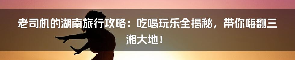 老司机的湖南旅行攻略：吃喝玩乐全揭秘，带你嗨翻三湘大地！
