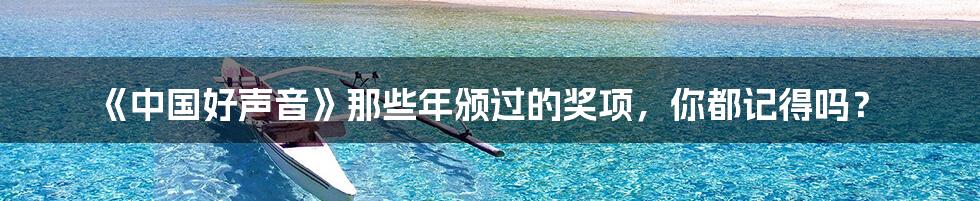 《中国好声音》那些年颁过的奖项，你都记得吗？