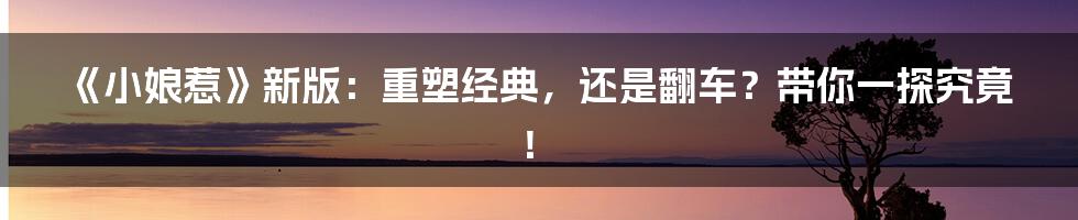 《小娘惹》新版:重塑经典,还是翻车?带你一探究竟!