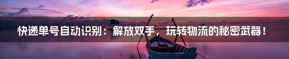 快递单号自动识别:解放双手,玩转物流的秘密武器!