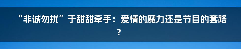 “非诚勿扰”于甜甜牵手：爱情的魔力还是节目的套路？