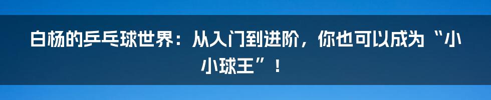 白杨的乒乓球世界:从入门到进阶,你也可以成为“小小球王”!