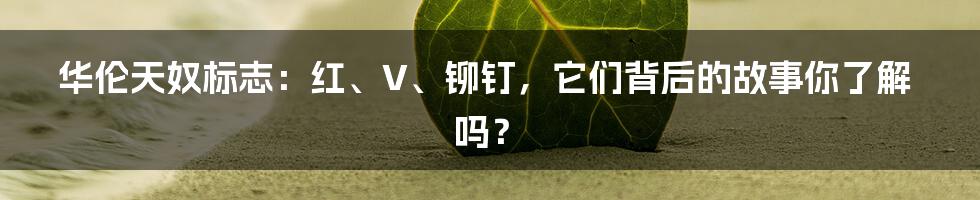 华伦天奴标志：红、V、铆钉，它们背后的故事你了解吗？