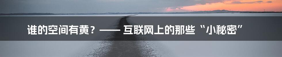 谁的空间有黄?—— 互联网上的那些“小秘密”