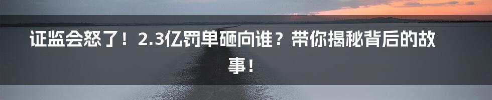 证监会怒了!2.3亿罚单砸向谁?带你揭秘背后的故事!