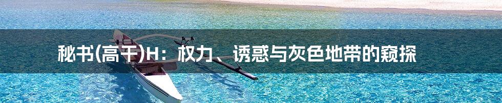 秘书(高干)H：权力、诱惑与灰色地带的窥探