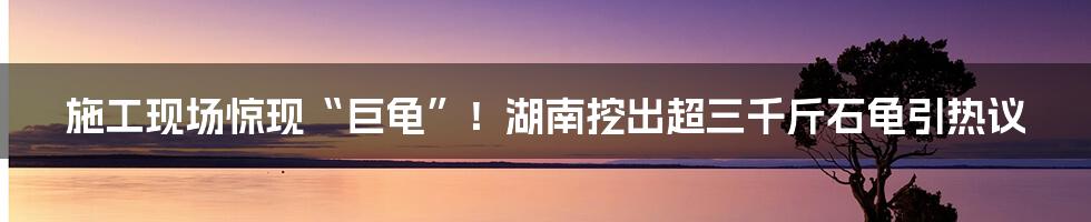 施工现场惊现“巨龟”!湖南挖出超三千斤石龟引热议