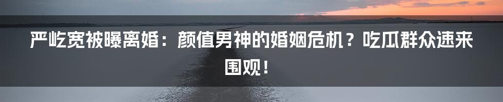 严屹宽被曝离婚:颜值男神的婚姻危机?吃瓜群众速来围观!