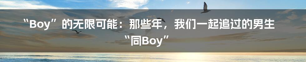 “Boy”的无限可能:那些年,我们一起追过的男生“同Boy”