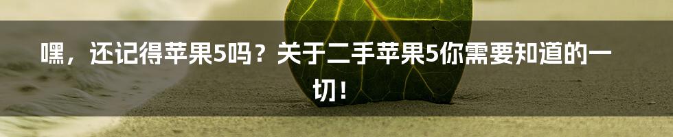 嘿,还记得苹果5吗?关于二手苹果5你需要知道的一切!