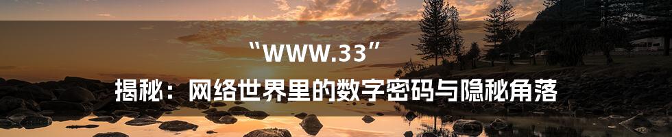 “WWW.33” 揭秘：网络世界里的数字密码与隐秘角落