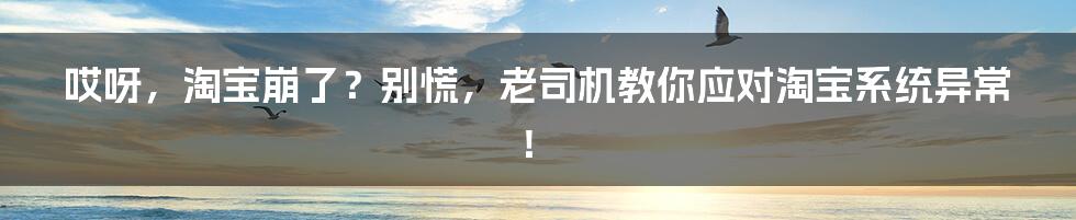 哎呀,淘宝崩了?别慌,老司机教你应对淘宝系统异常!
