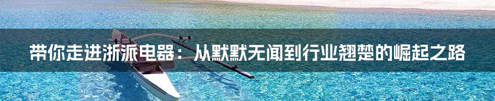 带你走进浙派电器:从默默无闻到行业翘楚的崛起之路
