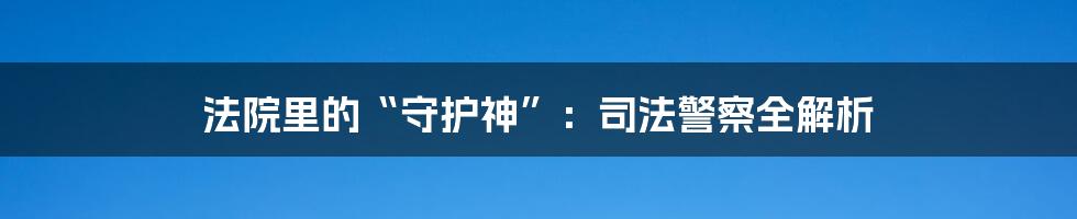 法院里的“守护神”:司法警察全解析