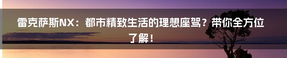 雷克萨斯NX:都市精致生活的理想座驾?带你全方位了解!